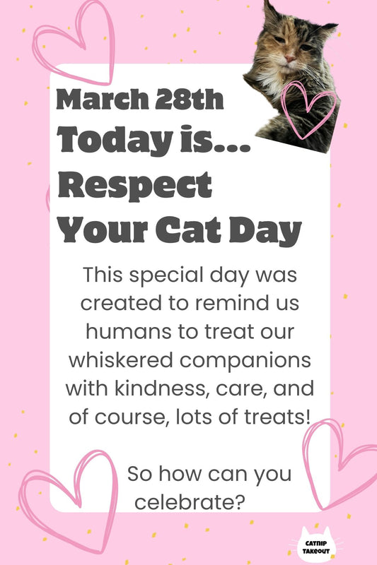 March 28th  is Respect Your Cat Day!