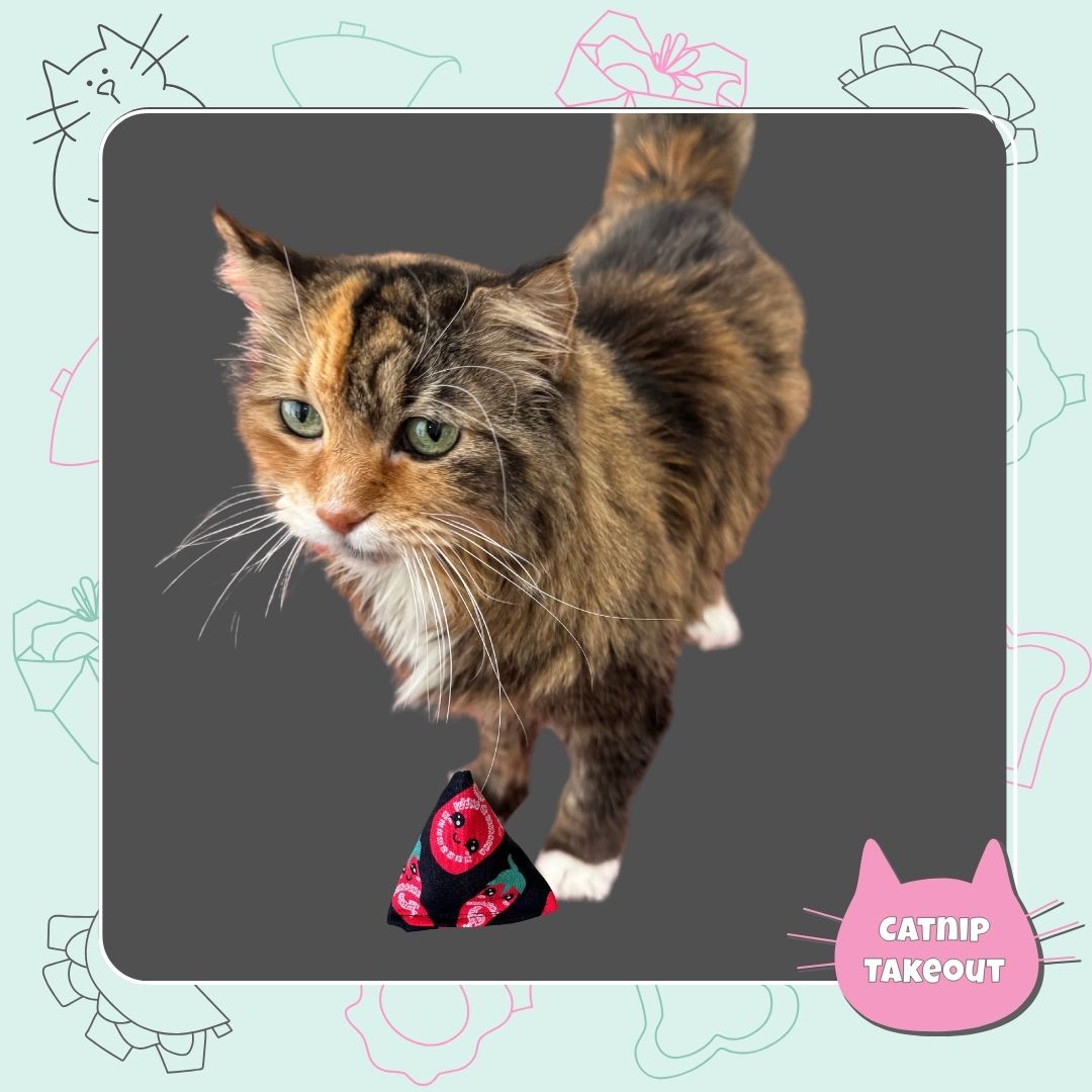 Ramen | Siracha | Hot Sauce Catnip Cat Toy Happy Sack - CatnipTakeout Let Shelby Pick !