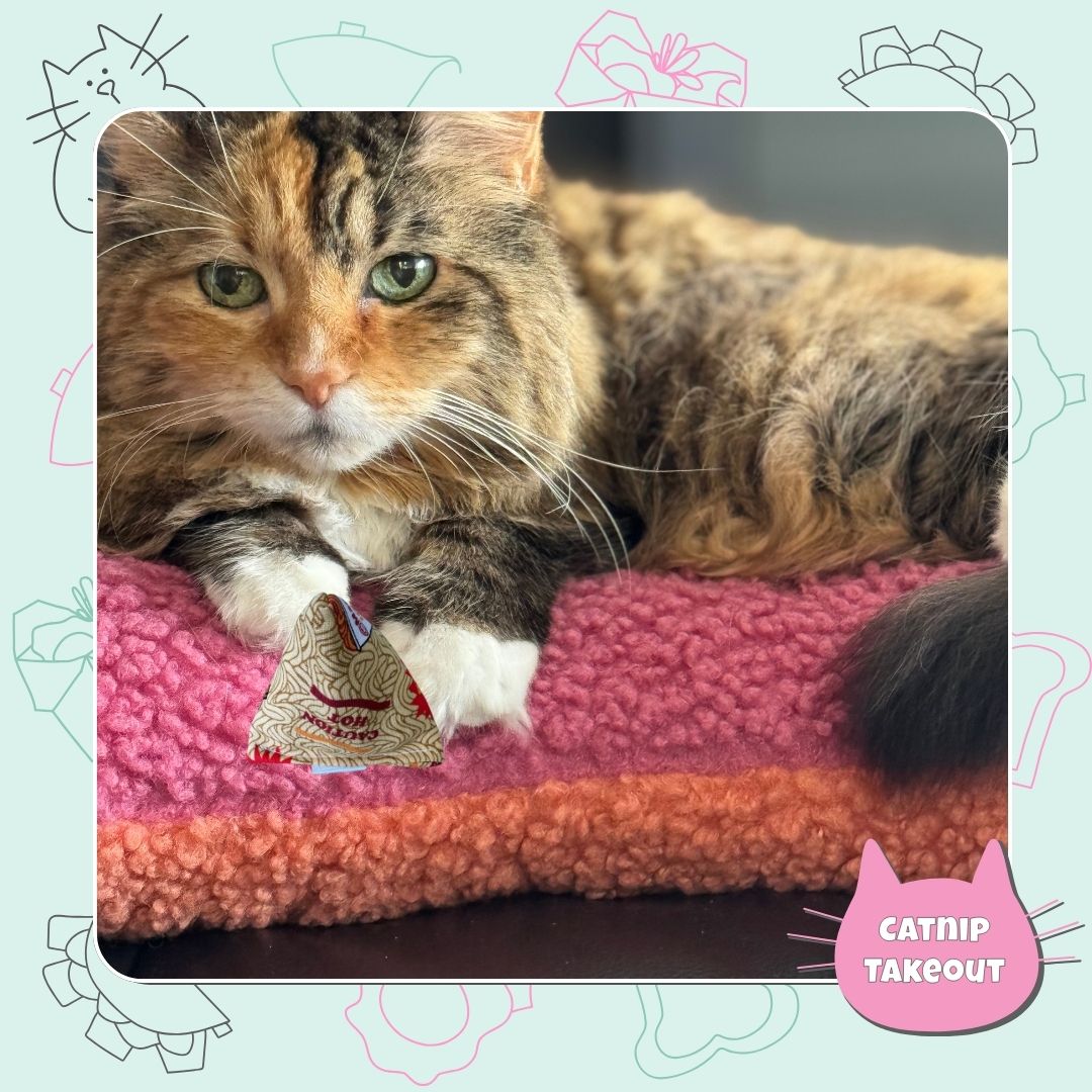 Ramen | Siracha | Hot Sauce Catnip Cat Toy Happy Sack - CatnipTakeout