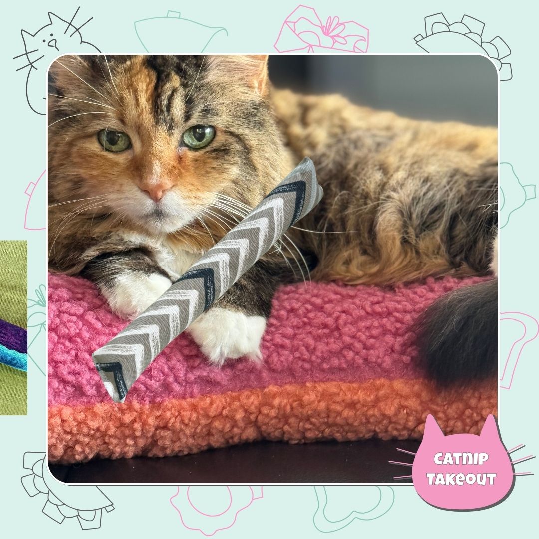 Pink Kitty Kicker Cat Toy with Catnip - CatnipTakeout