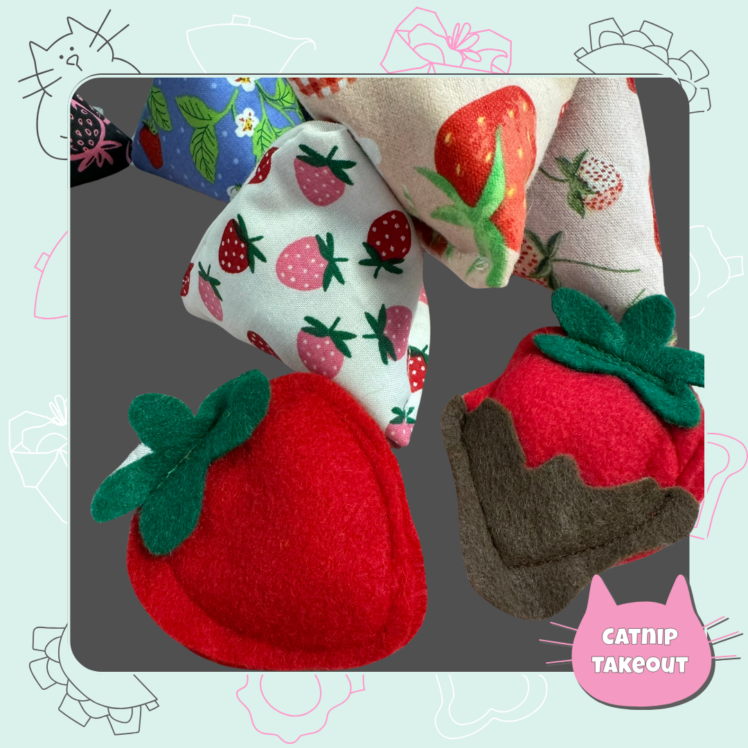 Strawberry Catnip Cat Toy Happy Sack - CatnipTakeout