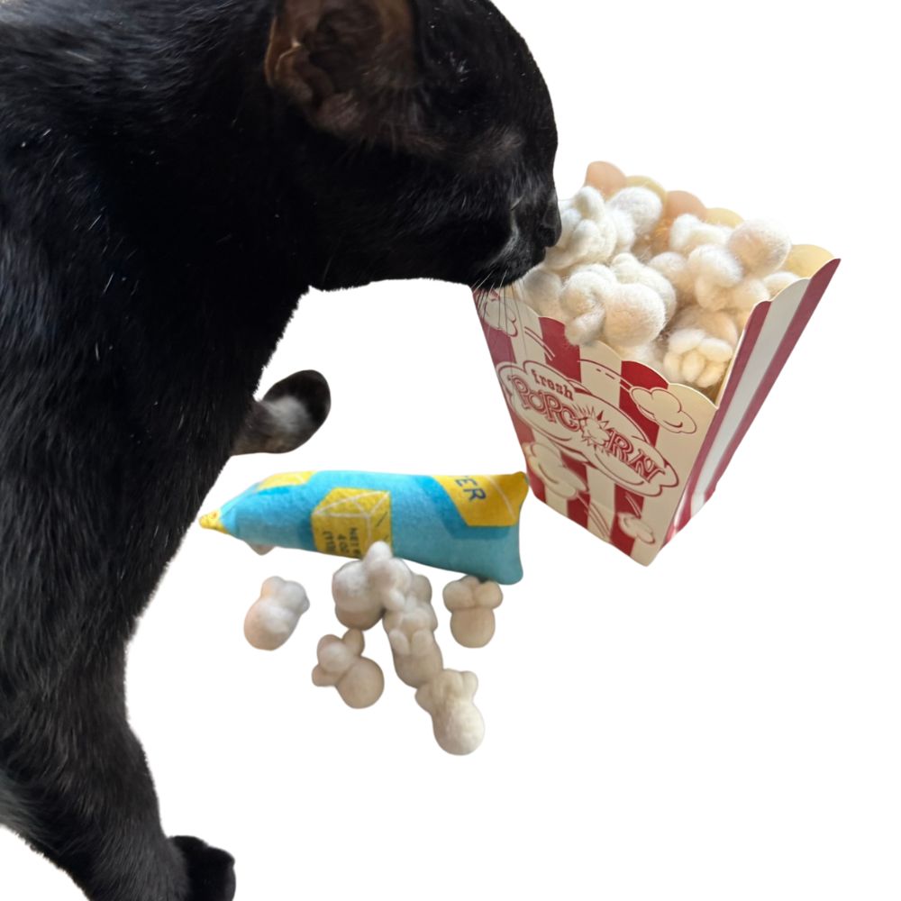 Black cat investigating a popcorn-themed cat toy with popcorn pieces and a mini kicker nearby, sprayed with catnip, durable and handmade for interactive play and enrichment