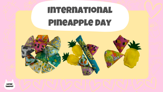 The Ultimate Guide to Pineapple Catnip Toys: Why Your Feline Friend Will Love It!