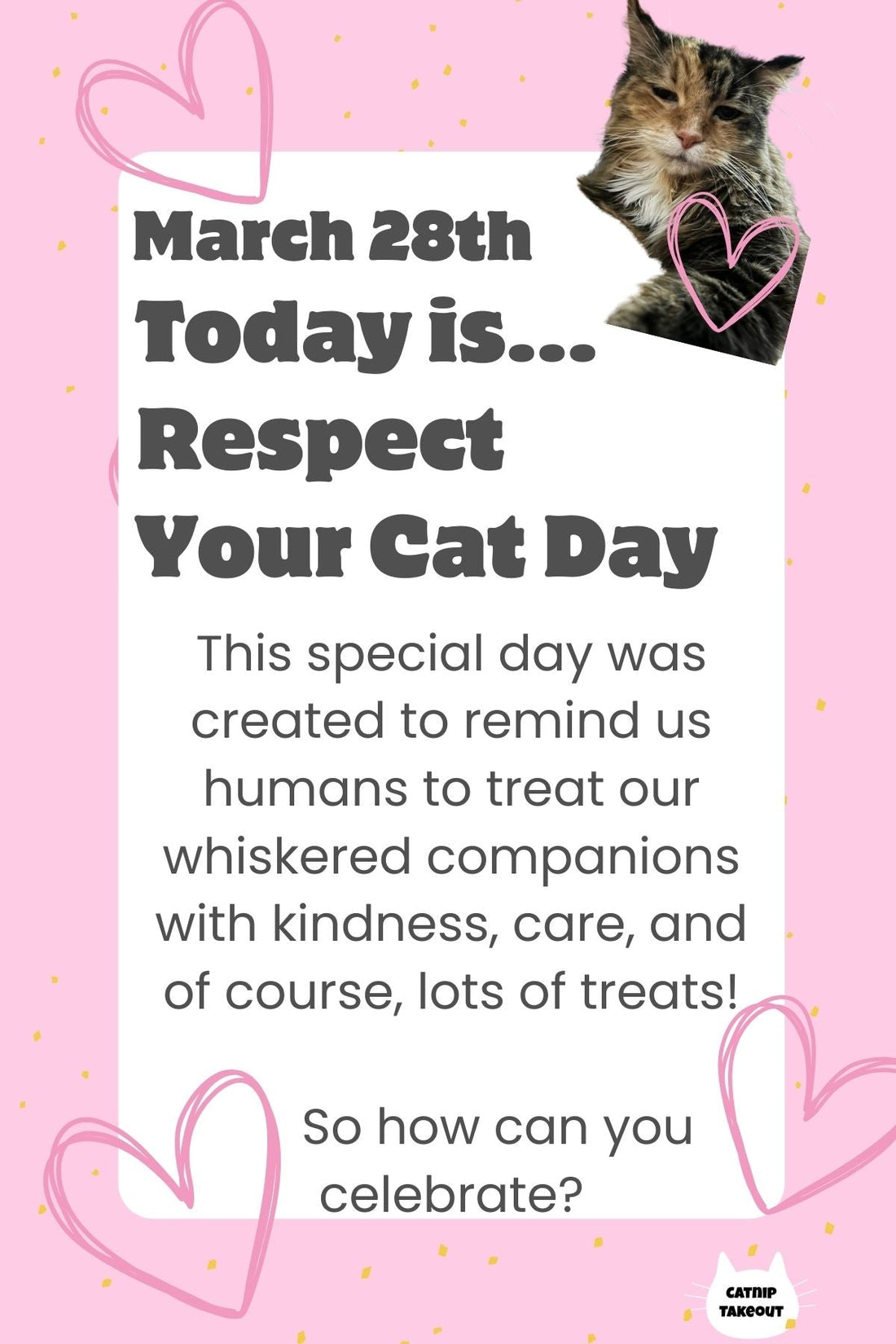 Celebrate Respect Your Cat Day with Our Purr-fect Toys!