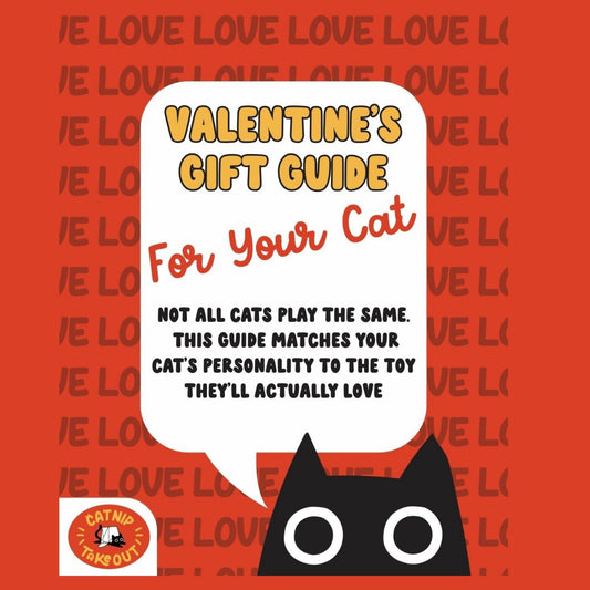 Valentine Gifts for Bored Indoor Cats | CatnipTakeout