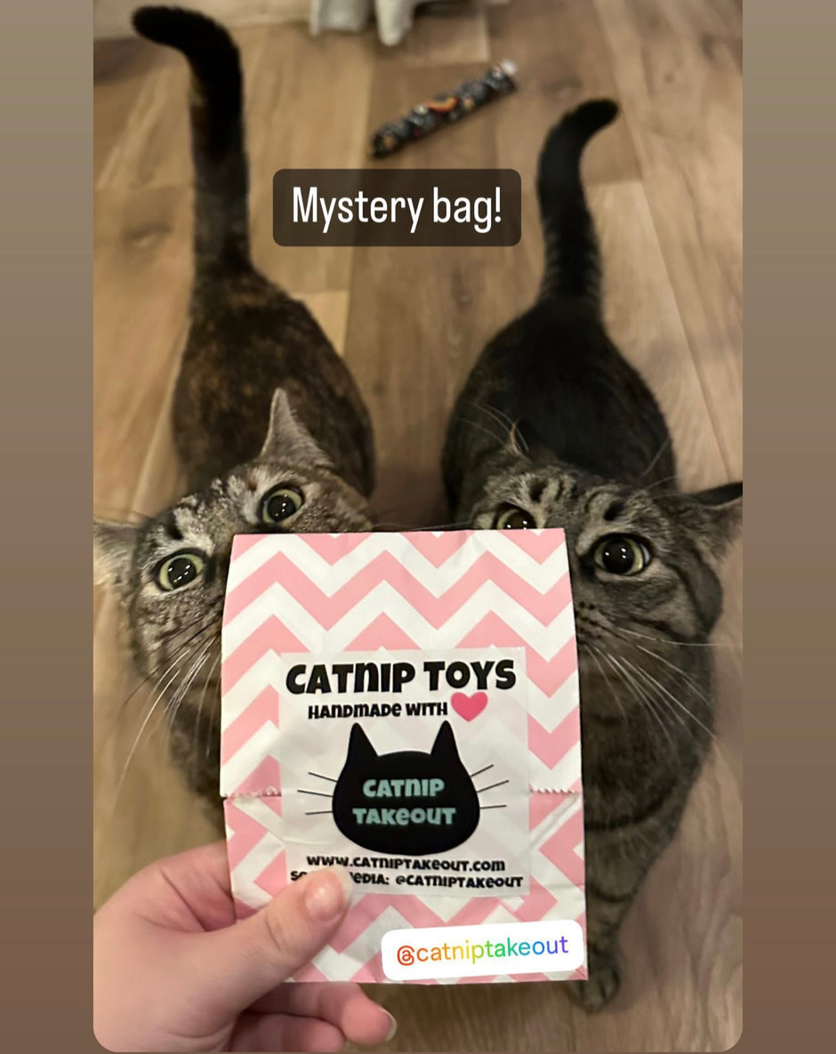 Products Page 2 CatnipTakeout