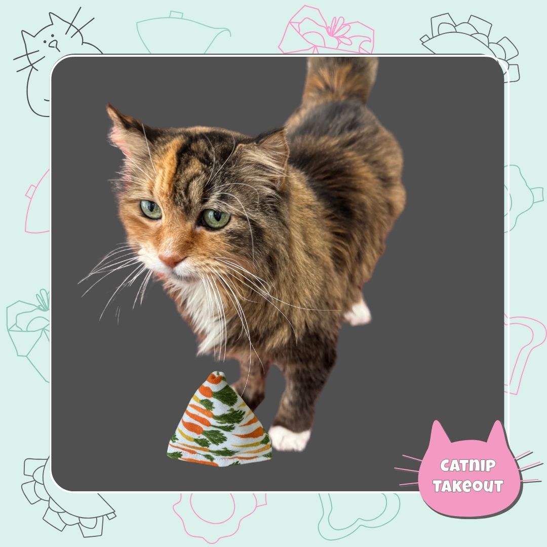 Catnip Cat Toy Happy Sack | Weekly on the Menu - CatnipTakeout