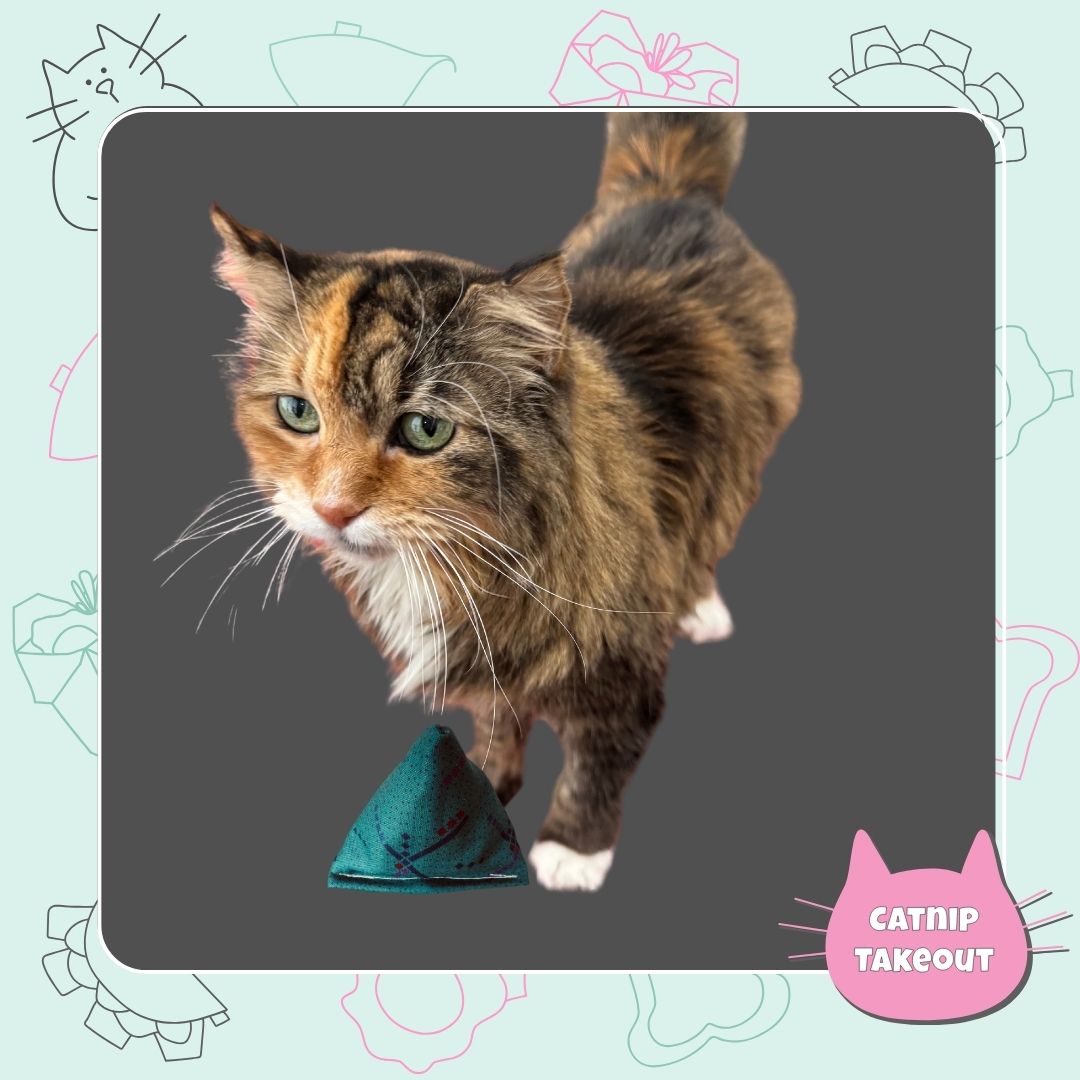 PDX Carpet Catnip Cat Toy Happy Sack - CatnipTakeout