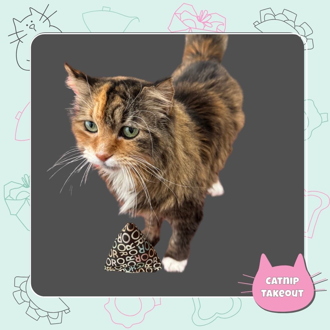 Oregon Catnip Cat Toy Happy Sack - CatnipTakeout