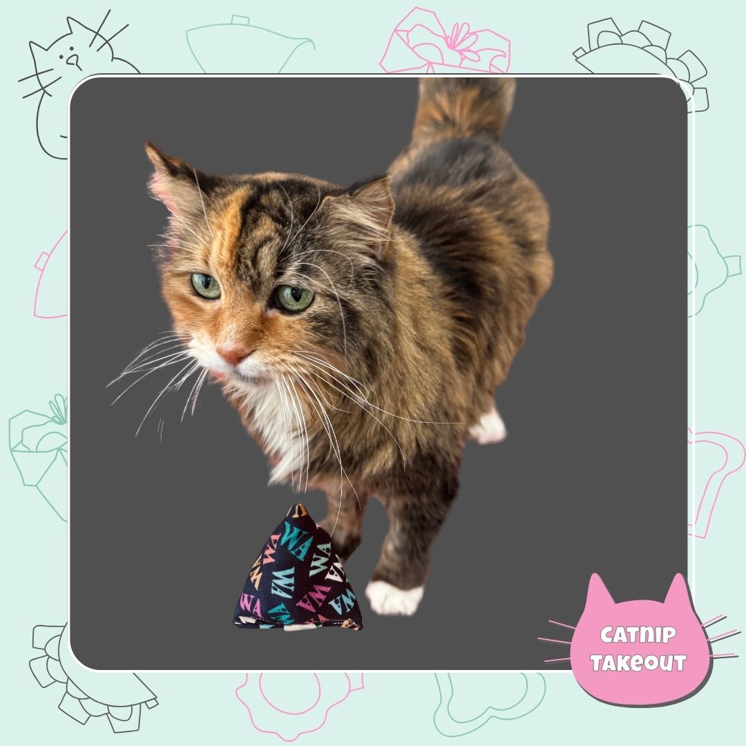 Washington Catnip Cat Toy Happy Sack - CatnipTakeout
