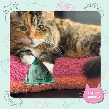 Washington Catnip Cat Toy Happy Sack - CatnipTakeout