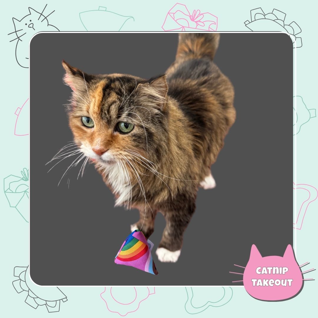 Rainbow | Love All | Pride Catnip Cat Toy Happy Sack - CatnipTakeout