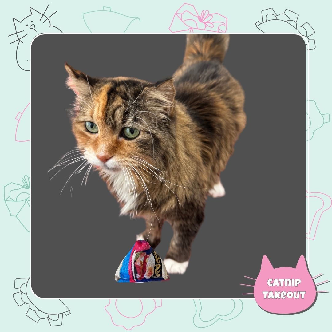 SPAM Catnip Cat Toy Happy Sack - CatnipTakeout