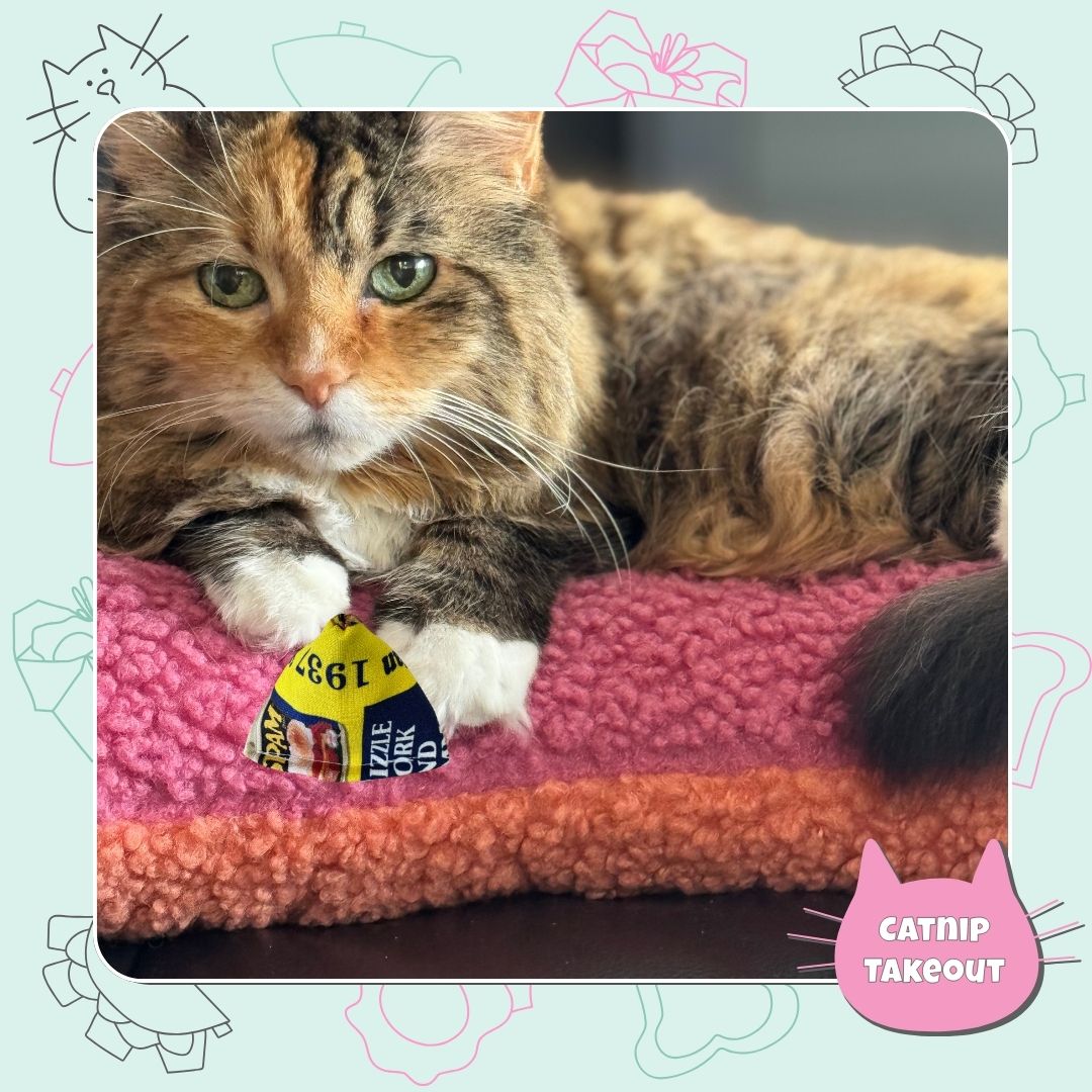 SPAM Catnip Cat Toy Happy Sack - CatnipTakeout