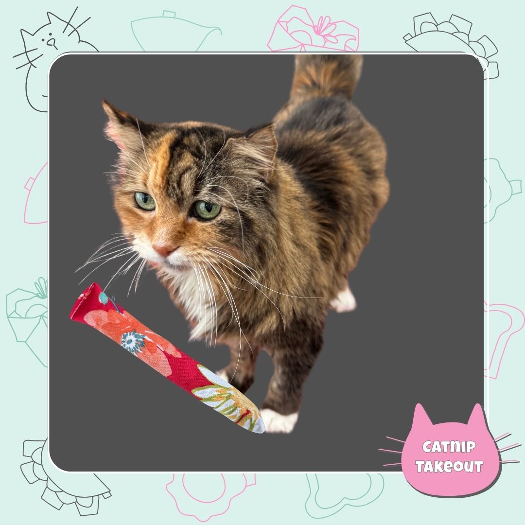 Eggroll | Kicker Cat Toy Pink Kitty Theme with Catnip