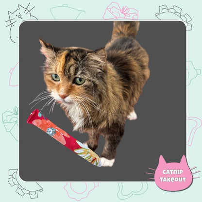 Eggroll | Kicker Cat Toy Spring Strawberry Theme with Catnip