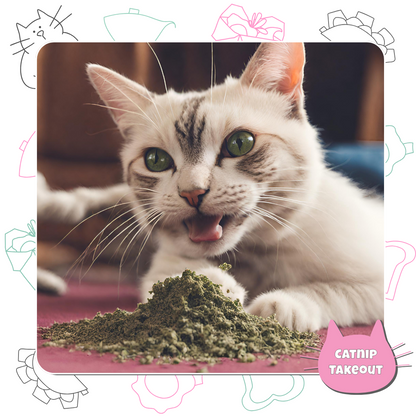 Catnip - CatnipTakeout