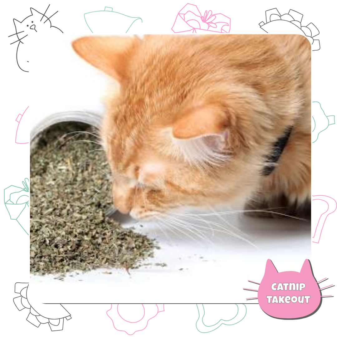 Catnip - CatnipTakeout