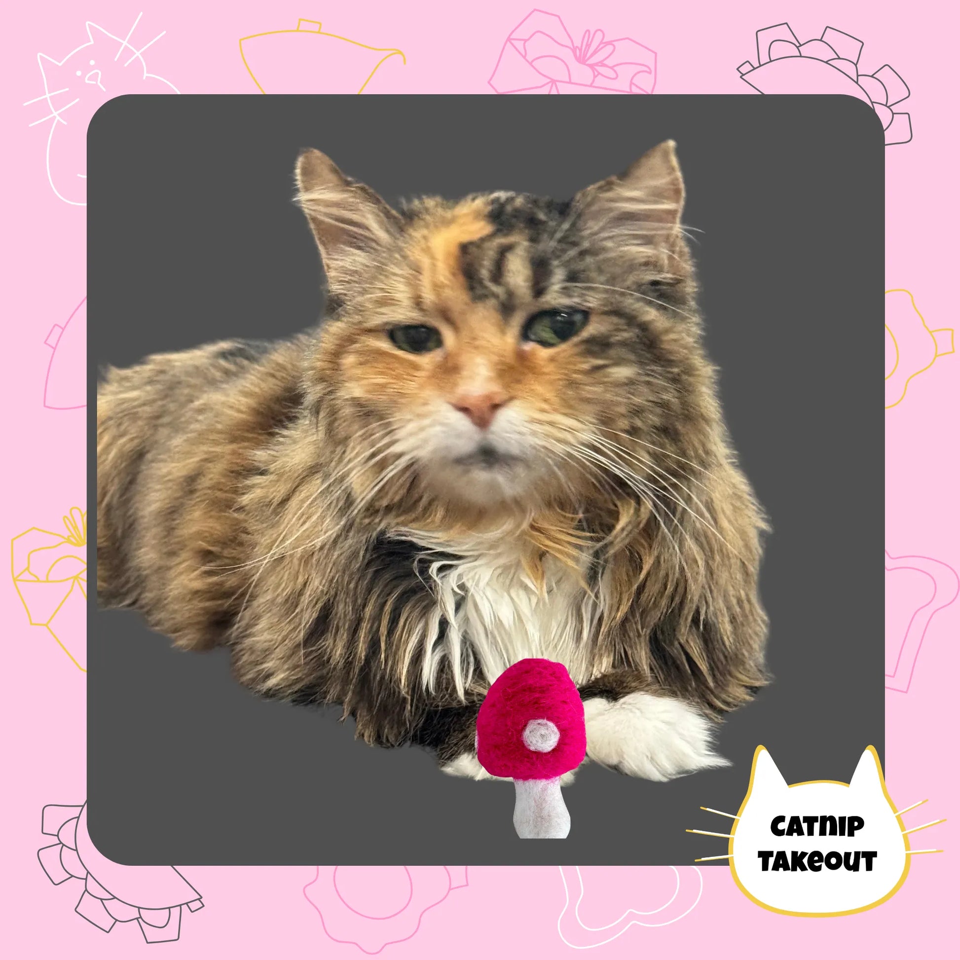 Mushroom Catnip Toy | Wool Felted Cat Toy - CatnipTakeout
