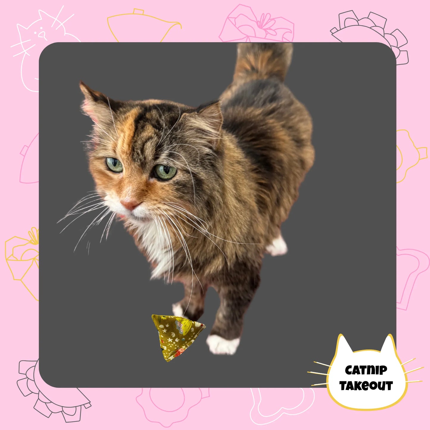 Mushroom Catnip Cat Toy Happy Sack - CatnipTakeout