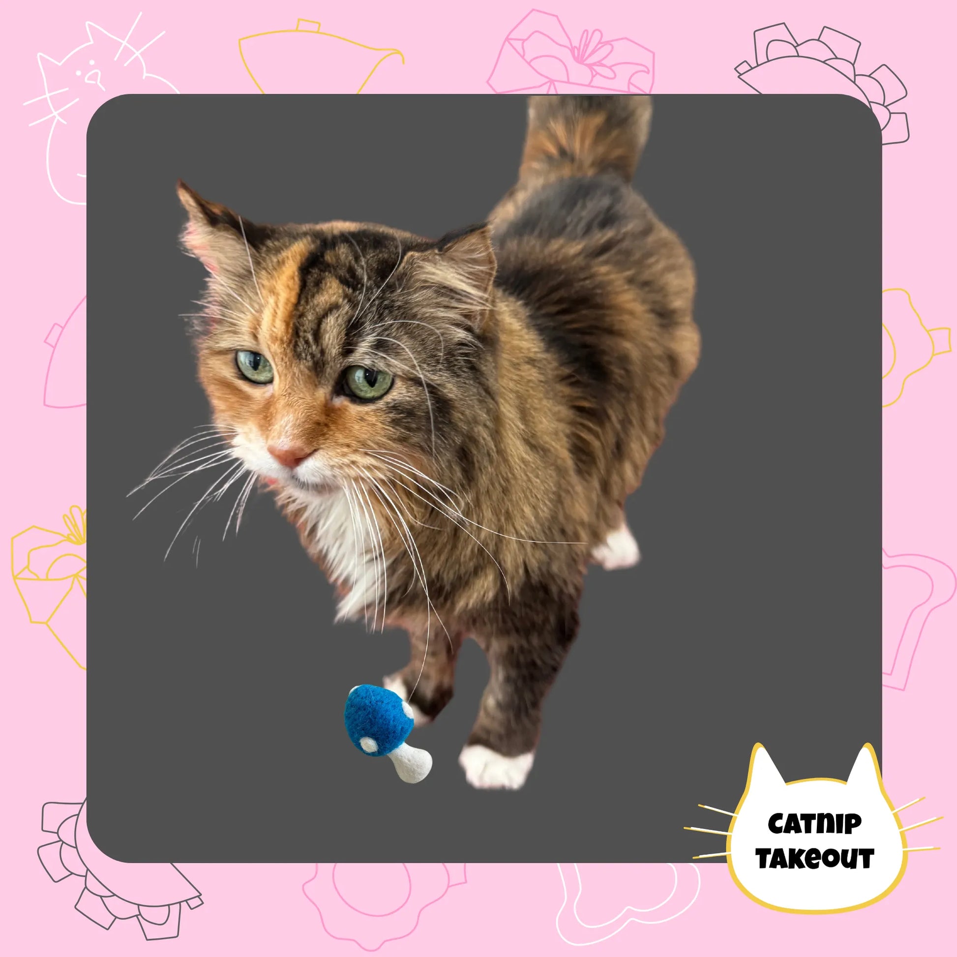 Mushroom Catnip Toy | Wool Felted Cat Toy - CatnipTakeout