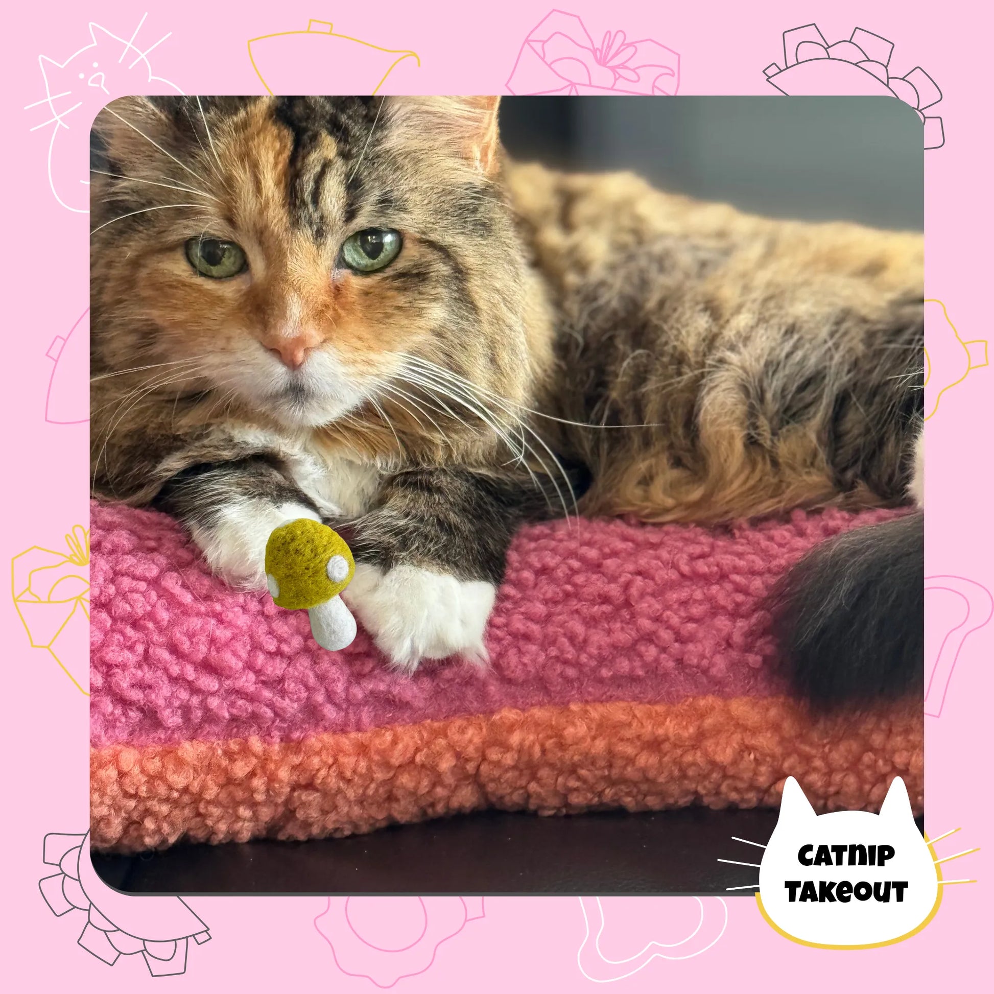 Mushroom Catnip Toy | Wool Felted Cat Toy - CatnipTakeout