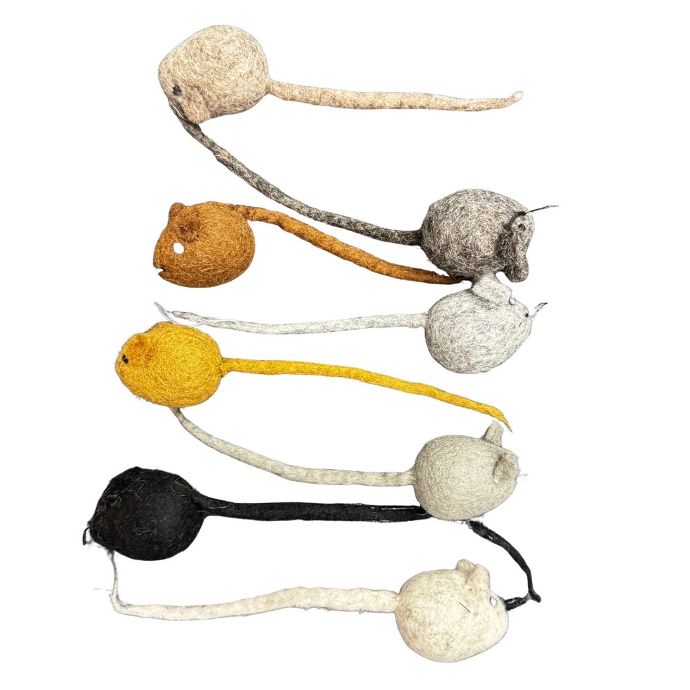 Set of cat toys with different colors on a white background