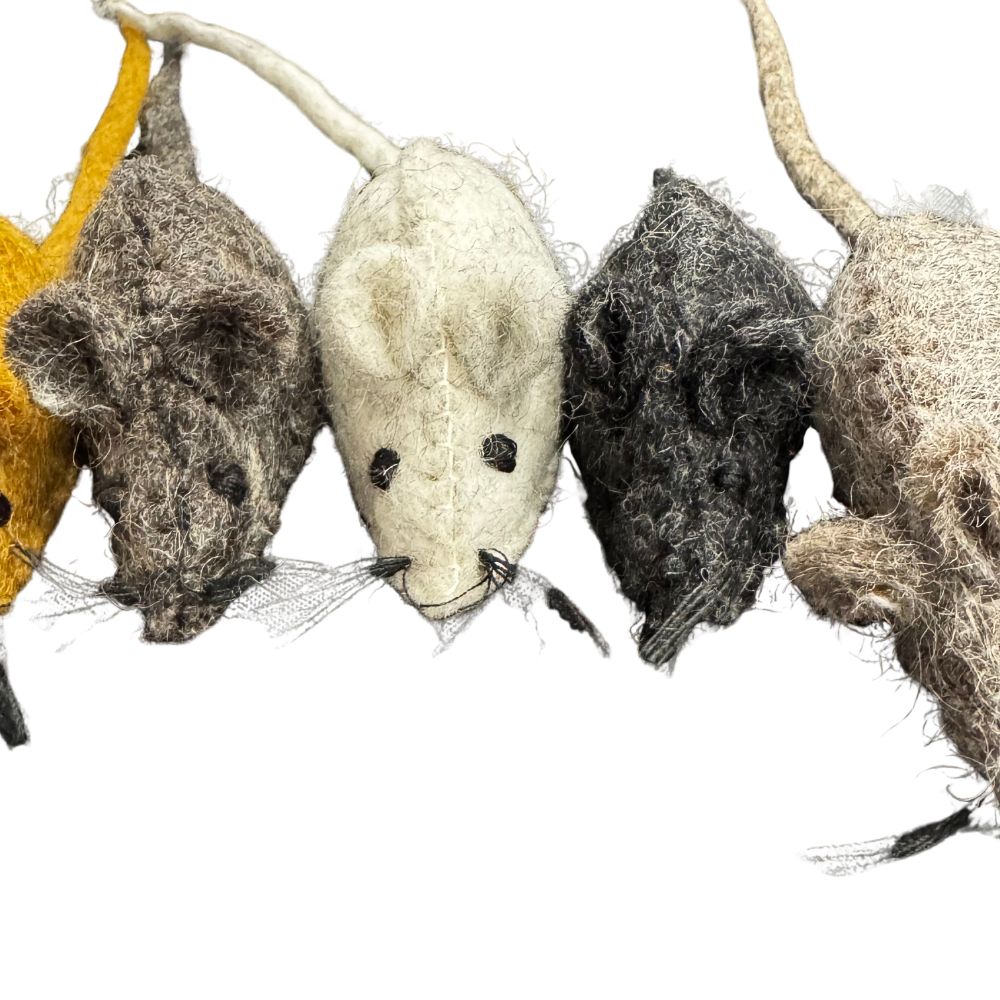 Four woolen mice in different colors on a white background