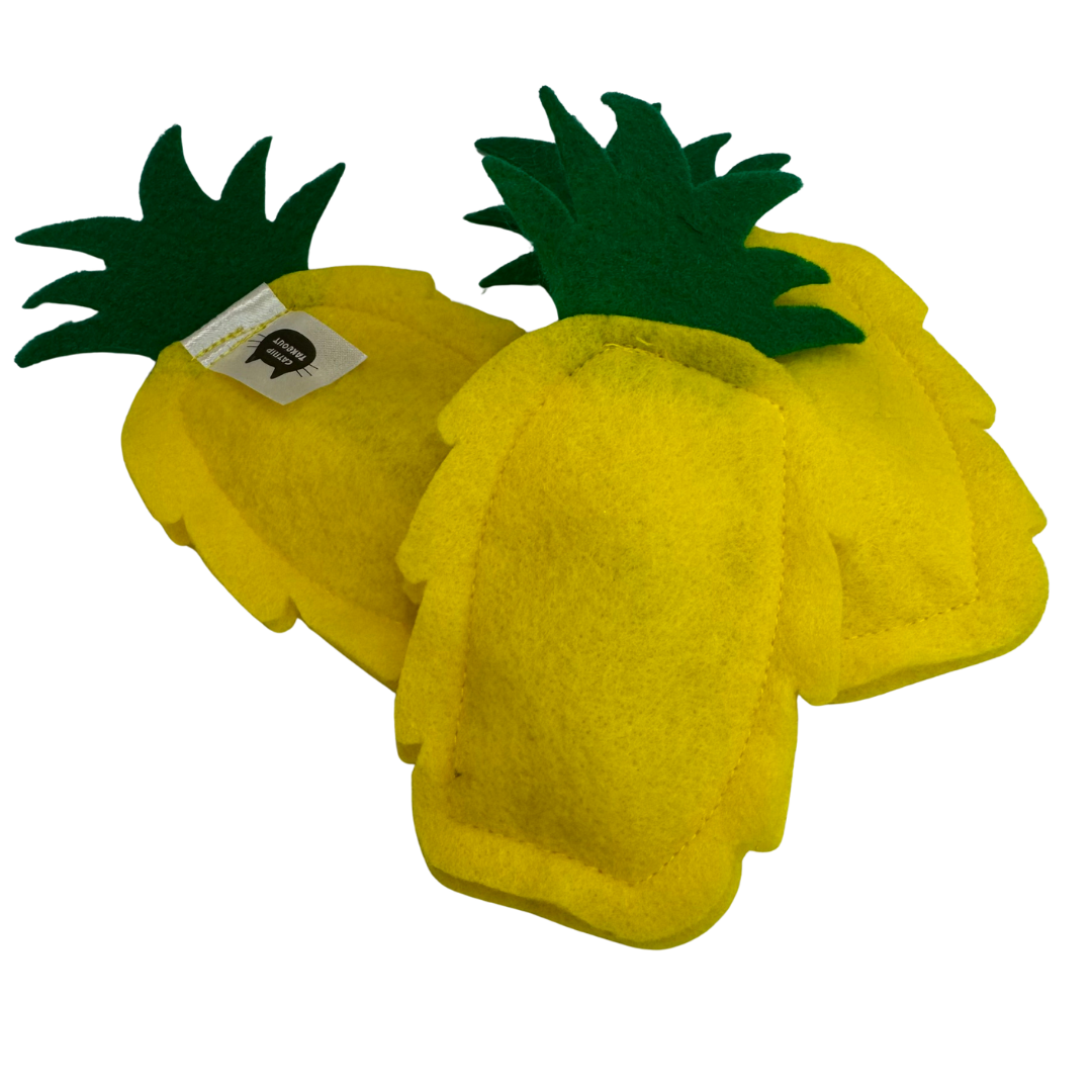 Pineapple Catnip Toy 🍍 - CatnipTakeout