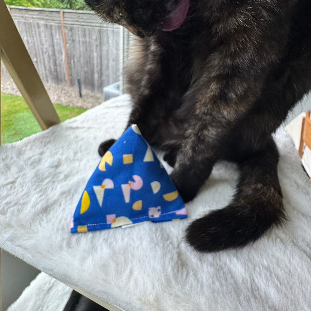Blue cheese themed catnip toy designed for indoor cats that enjoy pouncing and independent play