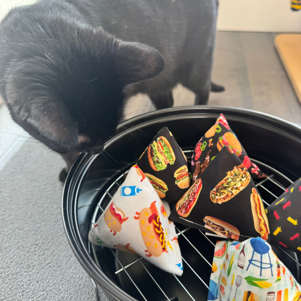 Black cat sniffing BBQ themed catnip toys beside picnic inspired foodie cat toys for interactive play