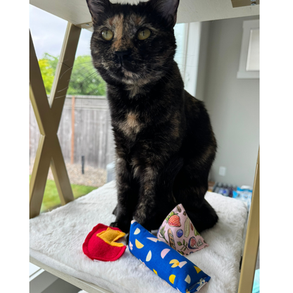Tortoiseshell cat beside cheese cat toys filled with premium catnip for active indoor play