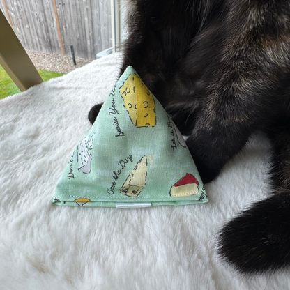 Cheese themed catnip toy designed for tossing, chasing, and cat enrichment play. Mint green background,