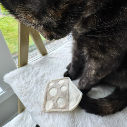 play.png
Tortoiseshell cat watching a cheese cat toy filled with catnip for indoor batting and playful enrichment