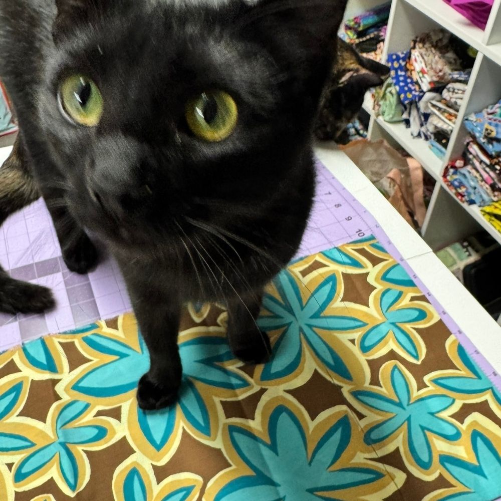 Ele Ele, a black cat with yellow-green eyes, standing on Maui Vibes Island Sand retro plumeria fabric in a CatnipTakeout workspace.