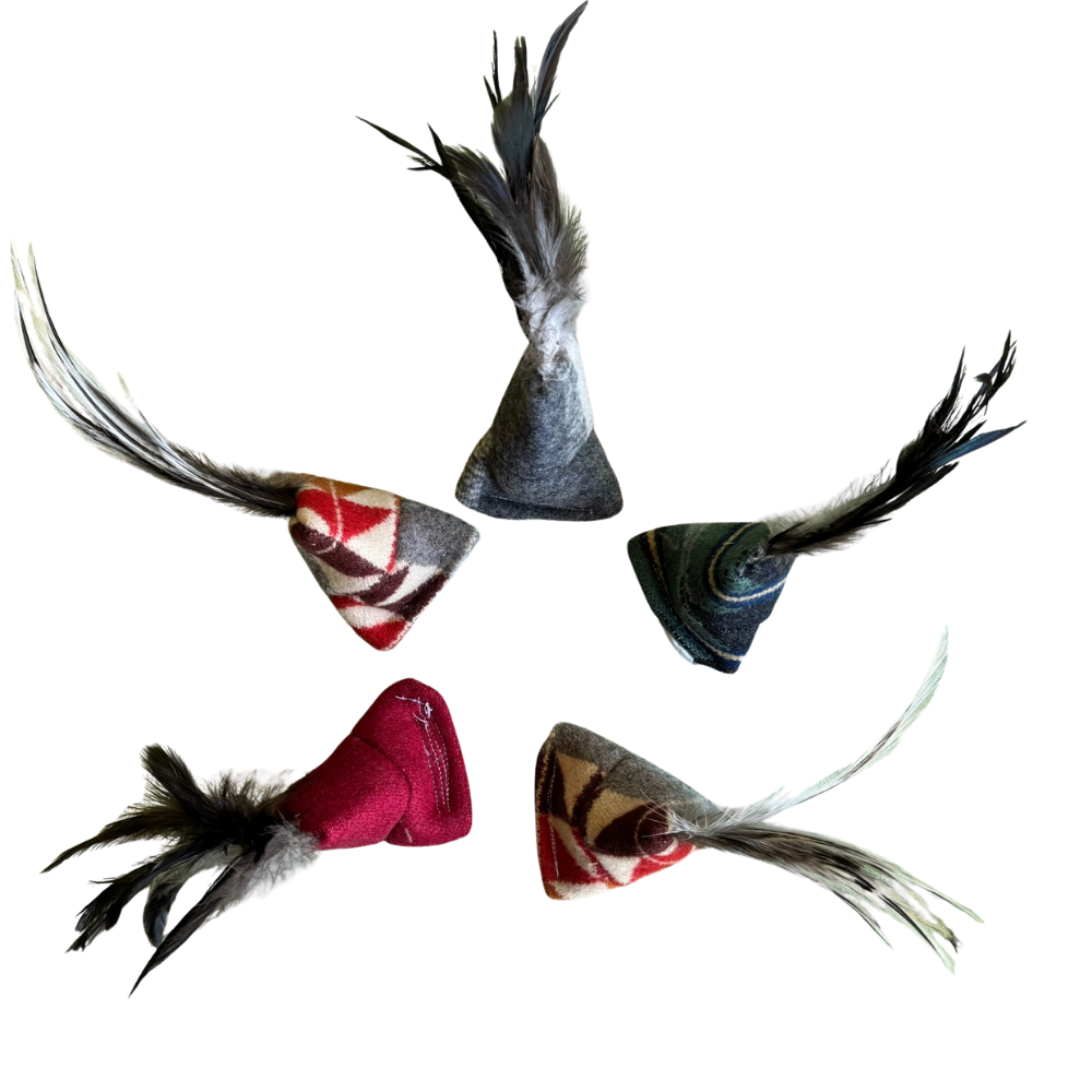 Five feathered cat toys with different color patterns on a white background