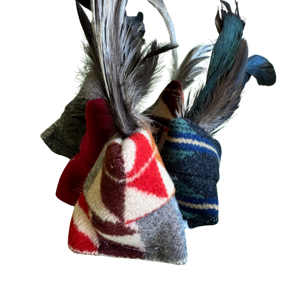 Two colorful cat toys with feathers on a white background