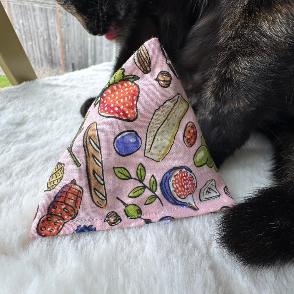 Cheese themed catnip toy featuring foodie inspired artwork for playful cats that love interactive toys; pick background