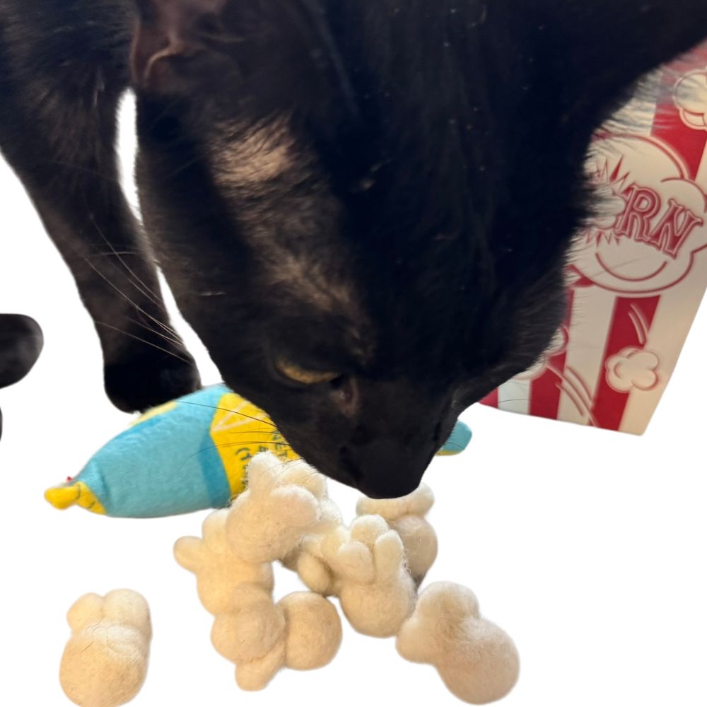 Black cat sniffing and pawing popcorn-shaped cat toys with loose popcorn pieces beside a popcorn box, sprayed with catnip during interactive play