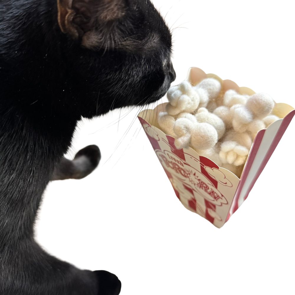 Black cat sniffing a popcorn-themed cat toy filled with popcorn pieces in a striped popcorn box, sprayed with catnip, handmade and durable toy designed for interactive enrichment and sensory play
