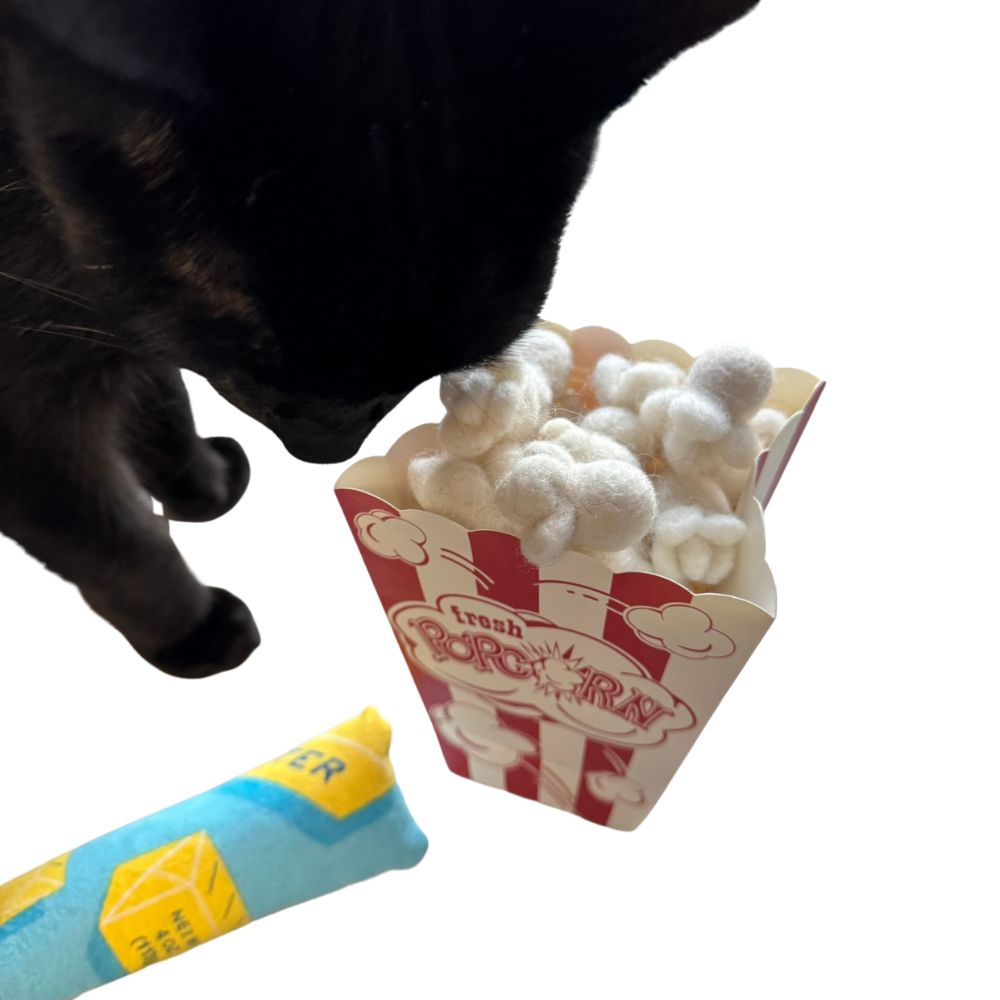 Black cat leaning toward a popcorn-shaped cat toy inside a popcorn box with a mini kicker nearby, sprayed with catnip for interactive play