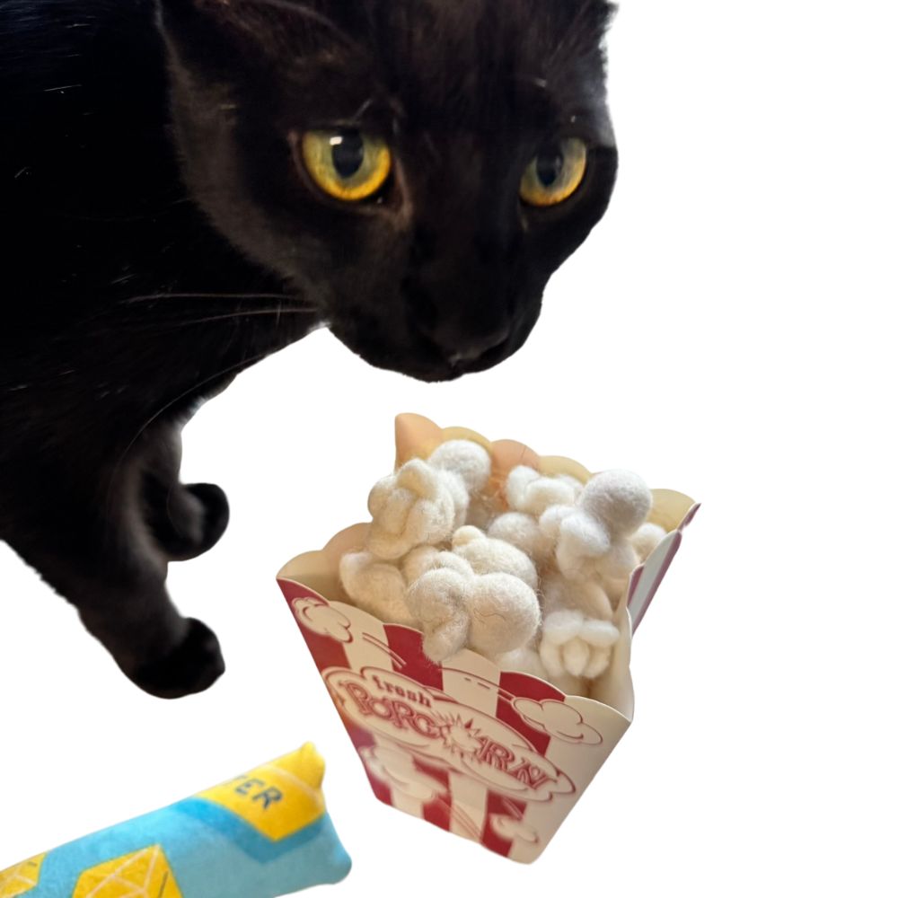 Black cat closely inspecting a popcorn-themed cat toy filled with popcorn pieces and paired with a mini kicker, sprayed with catnip, handmade and durable for interactive play.  