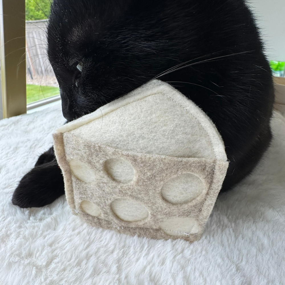 Black cat investigating a swiss cheese cat toy designed for batting, chasing, and independent cat play
